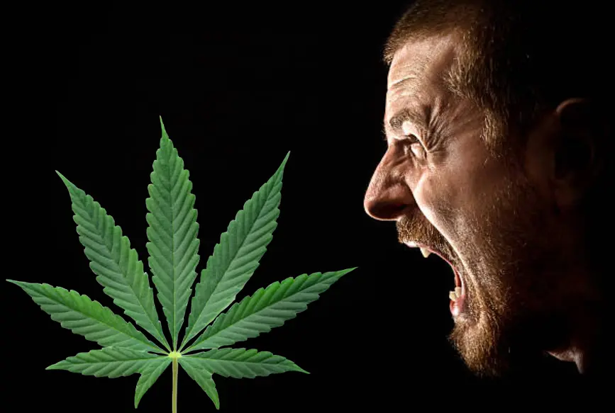 cannabis y agresividad