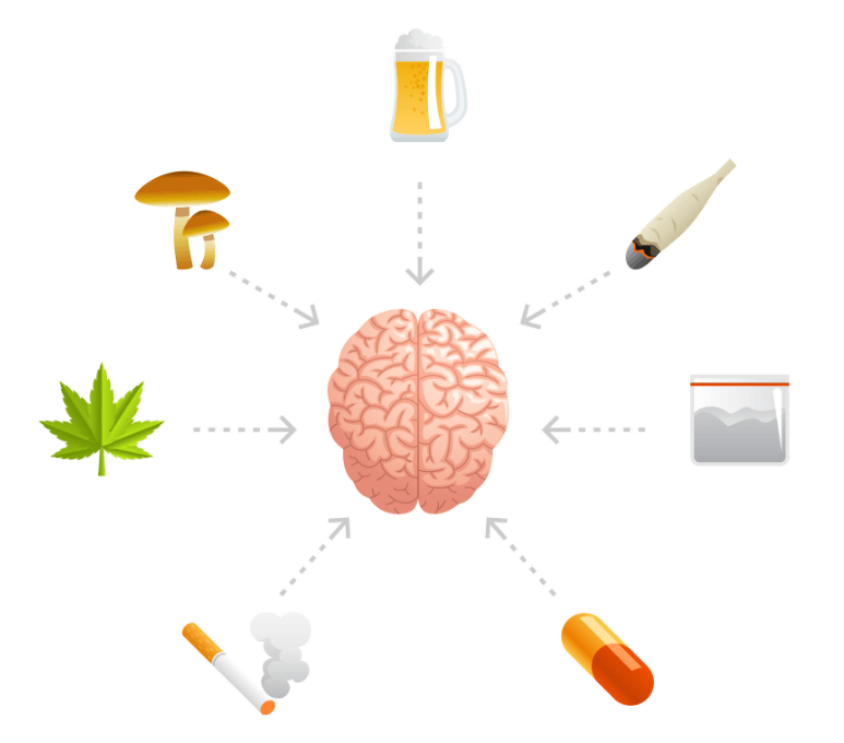 efecto de drogas en cerebro