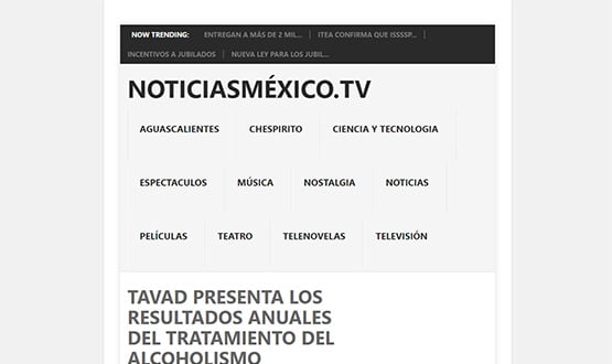 noticiasmexico15 - Artículos de prensa sobre Tavad y la adicción a las drogas en Internet